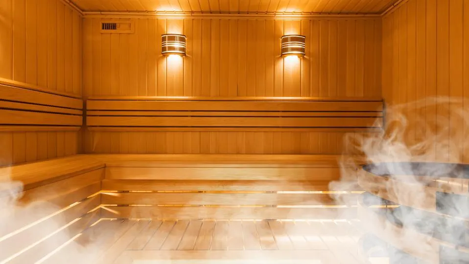 Photo-steam-saun2